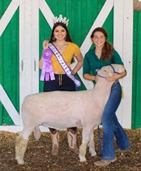 Dorsets & Daylilies Winners