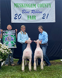 Dorsets & Daylilies Winners